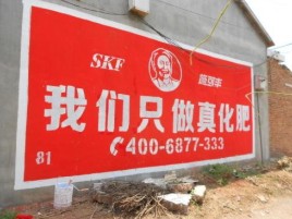  隆昌刷墙广告”蕴含了时代命题