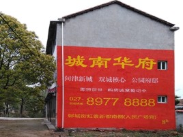  隆昌百分之90的人都不了解的农村墙体广告
