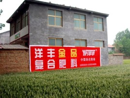  隆昌如何让墙体广告展现最大化效果
