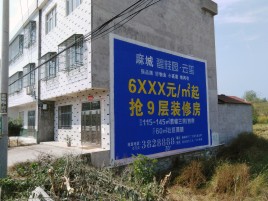  隆昌墙体广告质量分析