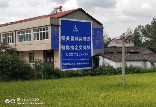  隆昌决定墙体广告价格的因素有哪些？