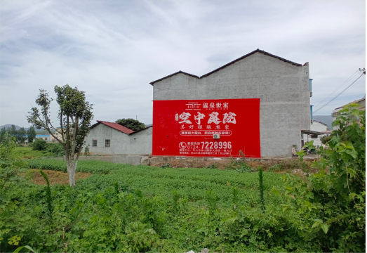  隆昌做墙体广告的意义