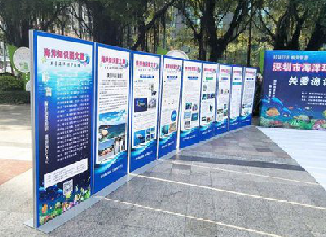  隆昌KT板的种类和知识。